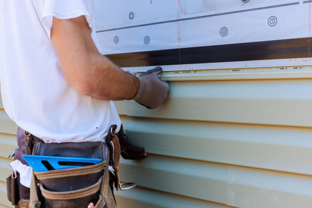 Affordable Siding Repair solutions in Long Lake, MN